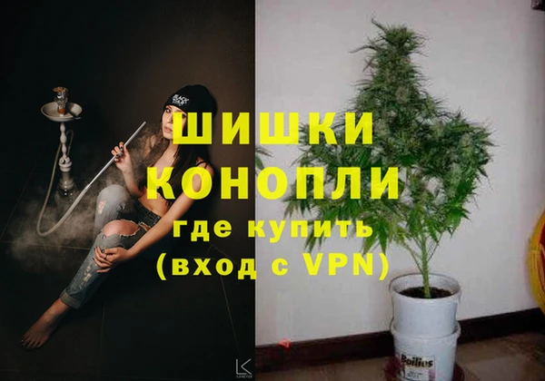марихуана Дмитровск