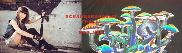синтетический гашиш Дмитриев