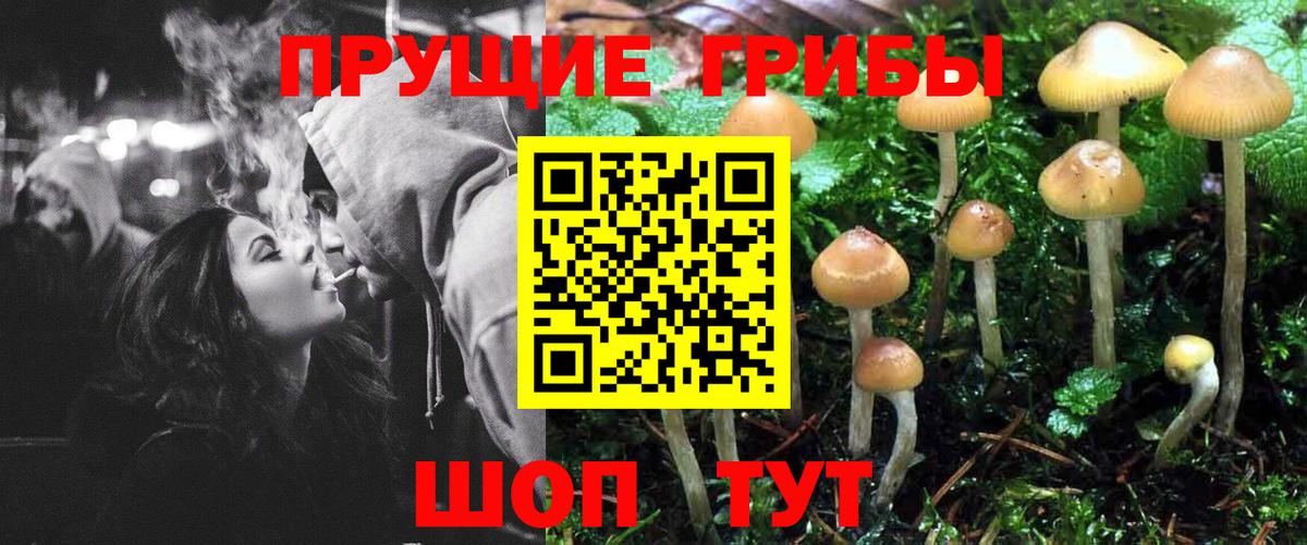 Псилоцибиновые грибы прущие грибы Ефремов
