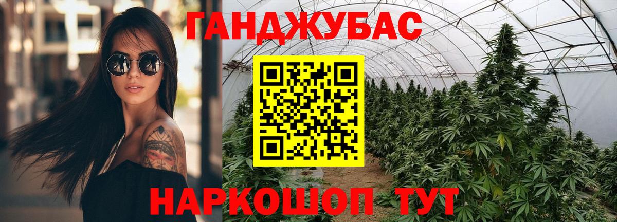 Каннабис гибрид Ефремов